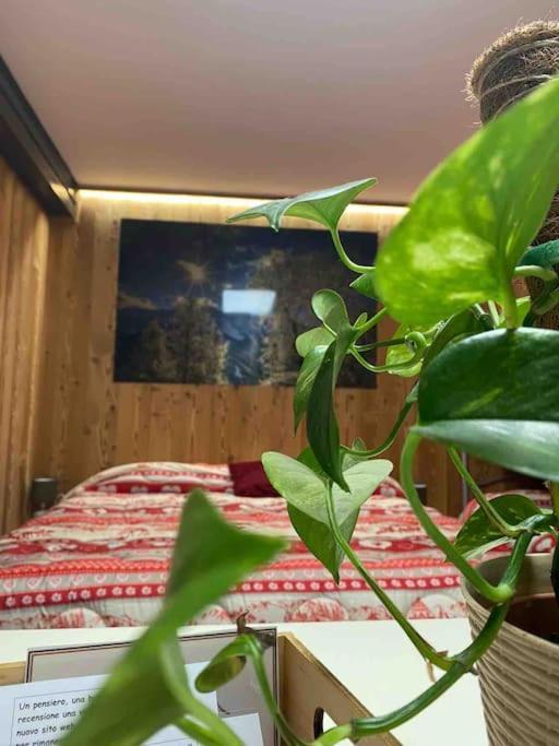 Apartmán Residenze Vezza - La Corteccia- Vezza dʼOglio Exteriér fotografie